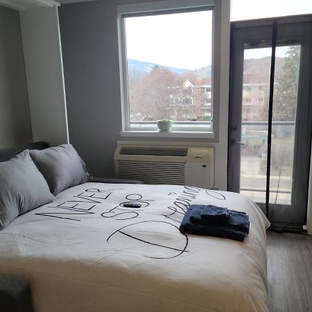 Cozy Studio Suite, 15Min Walk To Downtown Келоуна Екстериор снимка